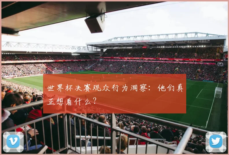 世界杯决赛观众行为洞察:他们真正想看什么?