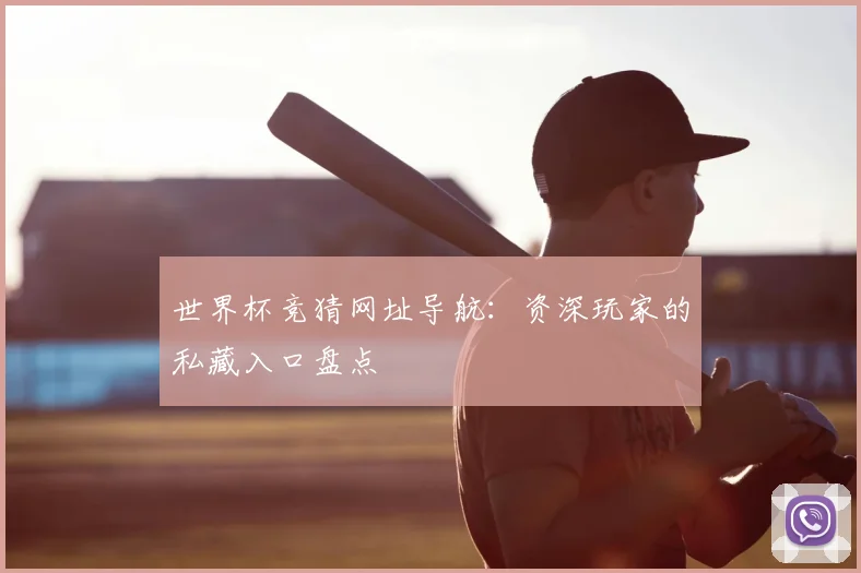 世界杯竞猜网址导航:资深玩家的私藏入口盘点