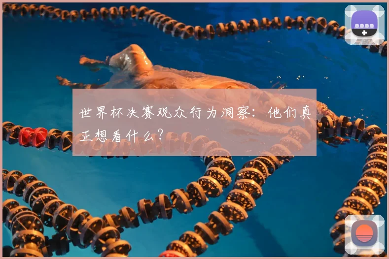世界杯决赛观众行为洞察:他们真正想看什么?