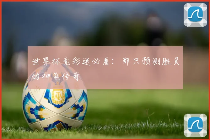 世界杯竞彩迷必看:那只预测胜负的神龟传奇