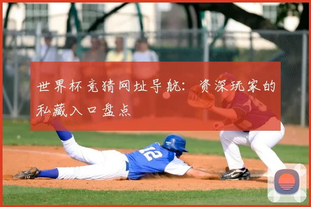 世界杯竞猜网址导航:资深玩家的私藏入口盘点