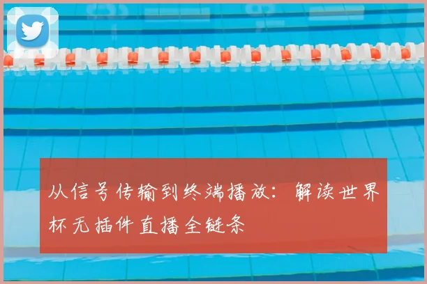 从信号传输到终端播放：解读世界杯无插件直播全链条