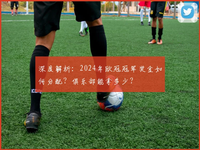 深度解析：2024年欧冠冠军奖金如何分配？俱乐部能拿多少？